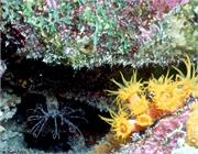 Bonaire 16